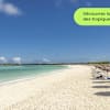 selloffvacations-prod/HOTEL CHAINS & LOGOS/Melia International Hotels/New Resorts Pages/Melia Jardines Del Rey/Ecomm/OUTPUT/SOV_MeliaJardinesDelRey_Ecomm_Carousel_1920x1080_FR_b
